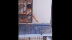The image shows the boy offering water to a pigeon.(Twitter/@Priyamvada22S) The image shows the boy offering water to a pigeon.(Twitter/@Priyamvada22S)
