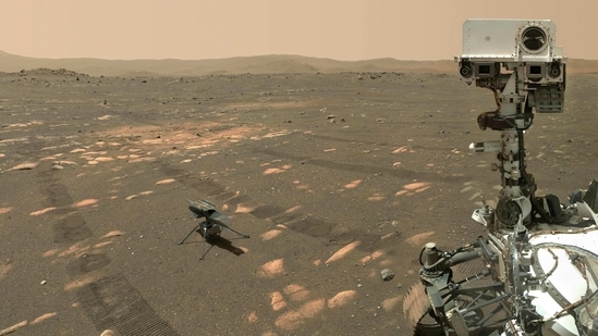 This Nasa photo shows the Perseverance Mars rover in a selfie with the Ingenuity helicopter, seen here about 13 feet (3.9 meters) from the rover, on April 6, 2021, the 46th Martian day, or sol, of the mission.(AFP)