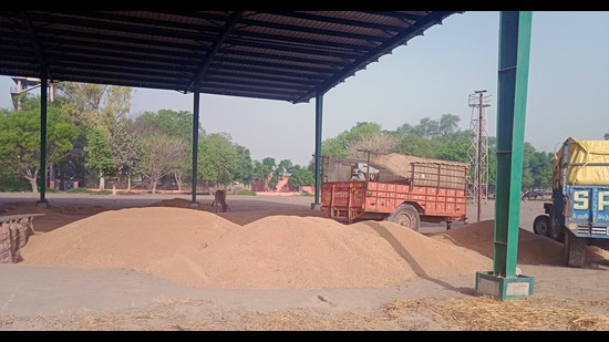 Wheat starts arriving in south Punjab mandis Wheat starts arriving in south Punjab mandis