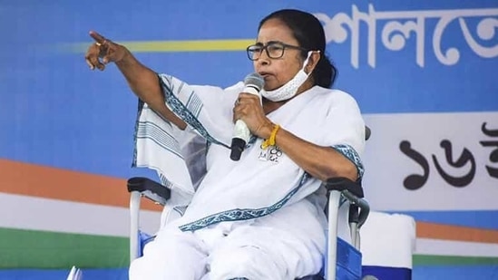 West Bengal CM and TMC chief Mamata Banerjee had appealed to the minority community not to divide the minority votes from a rally at Tarakeshwar in Hooghly district West Bengal CM and TMC chief Mamata Banerjee had appealed to the minority community not to divide the minority votes from a rally at Tarakeshwar in Hooghly district