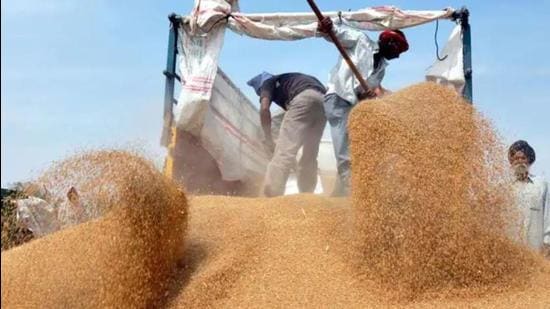 Chief minister Manohar Lal Khattar has reiterated time-bound procurement of wheat even as arhtiyas threatened to boycott the process. (HT file photo)