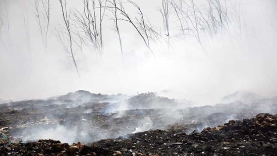 Representational: Methane concentrations in Bangladesh likely originate from a combination of sources including paddy fields, landfills, leaky natural gas pipelines and coal stockpiles, according to Kayrros. (Sakib Ali / HT Photo) Representational: Methane concentrations in Bangladesh likely originate from a combination of sources including paddy fields, landfills, leaky natural gas pipelines and coal stockpiles, according to Kayrros. (Sakib Ali / HT Photo)