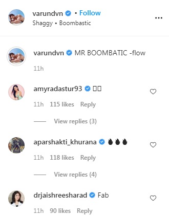 Comments on the video (Instagram/ varundvn)