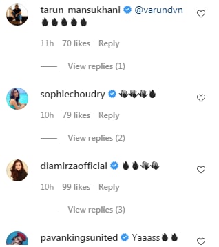 Comments on the video (Instagram/ varundvn)