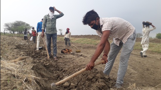 Women mates will now manage all MNREGS worksites that has more than 20 workers. (Pankaj Jaiswal/HT) Women mates will now manage all MNREGS worksites that has more than 20 workers. (Pankaj Jaiswal/HT)