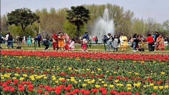 The Tulip Garden in Kashmir Valley attracts hundreds of visitors daily. As Covid cases rise, residents are questioning the J&K administration’s decision to shut schools, while promoting tourism at gardens and parks, where compliance of the safety protocol is not as strict. (Representative image) The Tulip Garden in Kashmir Valley attracts hundreds of visitors daily. As Covid cases rise, residents are questioning the J&K administration’s decision to shut schools, while promoting tourism at gardens and parks, where compliance of the safety protocol is not as strict. (Representative image)