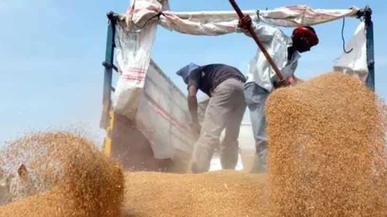 The FCI and its Delhi region office on Wednesday had taken to Twitter calling the AAP-led Delhi government’s claims “baseless”. (HT file photo) The FCI and its Delhi region office on Wednesday had taken to Twitter calling the AAP-led Delhi government’s claims “baseless”. (HT file photo)