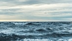 Sound travels fast and far in water, and sea creatures use sound to communicate, navigate, hunt, hide and mate.(Unsplash)