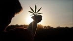 Cannabis ad on billboard, storefront leads to problematic marijuana use in teens(Photo by David Gabrić on Unsplash) Cannabis ad on billboard, storefront leads to problematic marijuana use in teens(Photo by David Gabrić on Unsplash)