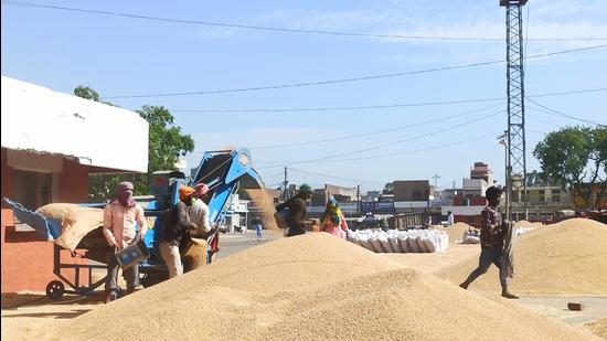 Farmers reached the grain market in their tractor-trolleys and qued up to get their mandatory gate passes. (HT Photo) Farmers reached the grain market in their tractor-trolleys and qued up to get their mandatory gate passes. (HT Photo)
