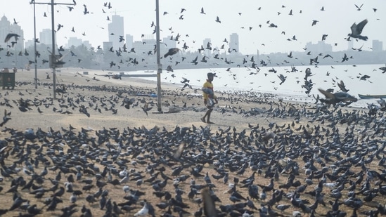 A person feeding birds on an otherwise deserted Girgaon chowpatty during the weekend lockdown in Mumbai on April 10. The Maharashtra government is mulling extending the lockdown till 7am on April 19 to break the transmission chain, HT reported.(Shashank Parade/PTI)