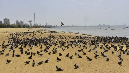 Girgaum Chowpatty(Anshuman Poyrekar/HT Photo)