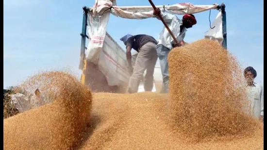 Wheat procurement got off to a start in Punjab on Saturday. The commission agents called off their strike after the state food department amended the procurement software so that they continue to be involved in the process of release of payments to farmers, albeit in a modified manner, while farmers get their payments in their bank accounts within 48 hours. (HT file photo) Wheat procurement got off to a start in Punjab on Saturday. The commission agents called off their strike after the state food department amended the procurement software so that they continue to be involved in the process of release of payments to farmers, albeit in a modified manner, while farmers get their payments in their bank accounts within 48 hours. (HT file photo)