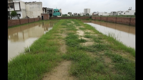 On the whole, authorities have failed to take action against colonisers who have not applied for regularisation of their properties under the policy. (HT file PHOTO FOR REPRESENTATION ONLY) On the whole, authorities have failed to take action against colonisers who have not applied for regularisation of their properties under the policy. (HT file PHOTO FOR REPRESENTATION ONLY)