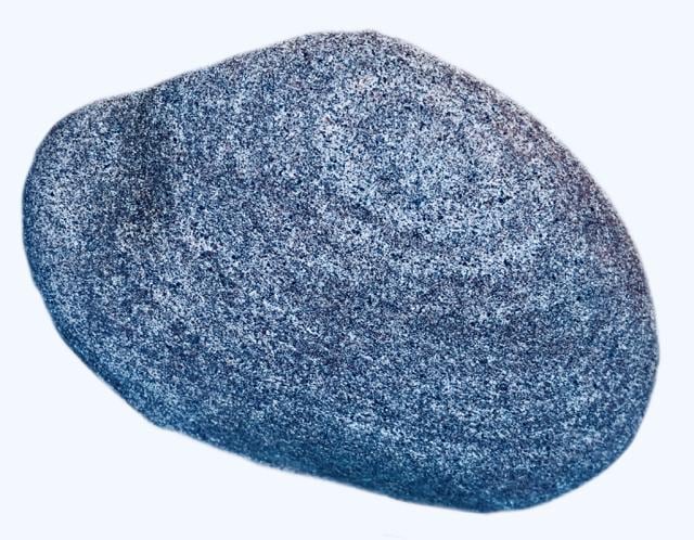 The ringed pebble from a Siswan dam rivulet. (PHOTO: VIKRAM JIT SINGH) The ringed pebble from a Siswan dam rivulet. (PHOTO: VIKRAM JIT SINGH)