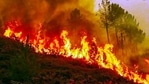 The lack of precipitation and intense heat-an outcome of climate change-is an exacerbating factor for forest fires. The lack of precipitation and intense heat-an outcome of climate change-is an exacerbating factor for forest fires.