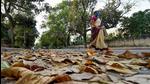 Representational image. (PTI) Representational image. (PTI)