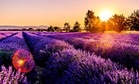 France was the most visited country in the world before the pandemic struck, with nearly 90 million foreign tourists visiting in 2018. Tourism accounts for about 7% of GDP.(Unsplash) France was the most visited country in the world before the pandemic struck, with nearly 90 million foreign tourists visiting in 2018. Tourism accounts for about 7% of GDP.(Unsplash)