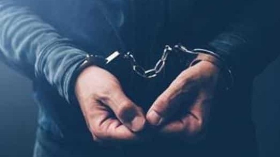 The accused, 29-year-old Balwan Singh, allegedly tried to escape from the crime spot, but was too drunk to venture far away, said police.(Getty Images/iStockphoto) The accused, 29-year-old Balwan Singh, allegedly tried to escape from the crime spot, but was too drunk to venture far away, said police.(Getty Images/iStockphoto)