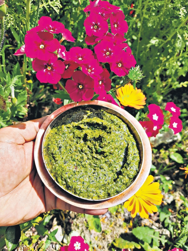 Bhang which is grown in abundance used as a basic ingredient for the chutney. Bhang which is grown in abundance used as a basic ingredient for the chutney.