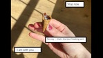 The image shows some of the comments shared under the post shared by the Twitter user about chocolaty tips of Cornetto.(Twitter@victoriiiiio) The image shows some of the comments shared under the post shared by the Twitter user about chocolaty tips of Cornetto.(Twitter@victoriiiiio)