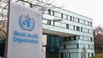WHO has called for improved hygiene standards in traditional food markets and tougher regulations to control the farming and sale of wild animals heading to markets for human consumption. (Reuters) WHO has called for improved hygiene standards in traditional food markets and tougher regulations to control the farming and sale of wild animals heading to markets for human consumption. (Reuters)
