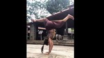 The image shows Rukmini Vijayakumar doing a headstand in a saree(Instagram/@dancerukmini) The image shows Rukmini Vijayakumar doing a headstand in a saree(Instagram/@dancerukmini)