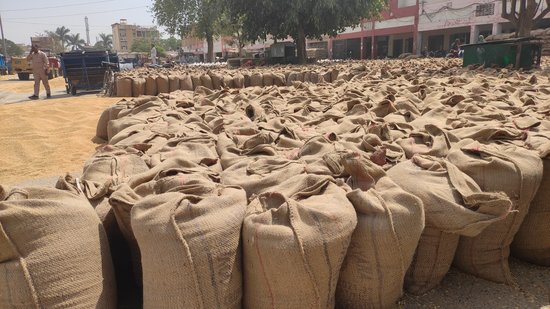 To resolve the situation, on Monday, the Haryana government had stopped generation of gate passes for 24-hours in 18 mandis but farmers continue to bring wheat in mandis and claimed that they do not have any other option as they do not have godowns. (HT Photo) To resolve the situation, on Monday, the Haryana government had stopped generation of gate passes for 24-hours in 18 mandis but farmers continue to bring wheat in mandis and claimed that they do not have any other option as they do not have godowns. (HT Photo)