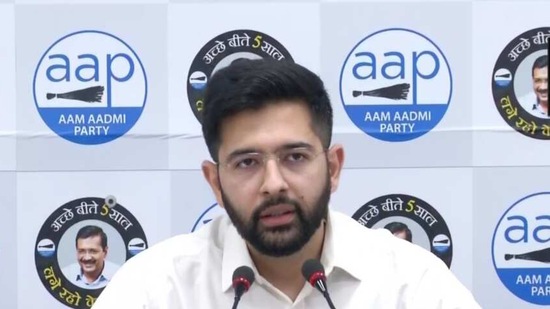 AAP leader and DJB vice chairman Raghav Chadha (ANI)