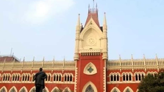 A division bench comprising Chief Justice of Calcutta high court Thottathil B Radhakrishnan and Justice Arijit Banerjee was responding to two writ petitions(HT Photo)