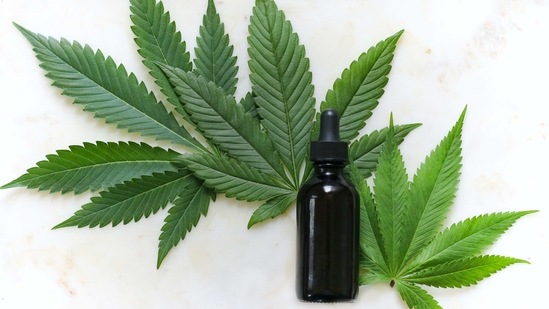 In cannabis users, cardiac function -- inferred from how the heart moves as seen in echocardiographic images -- was lower than in non-users. (Unsplash) In cannabis users, cardiac function -- inferred from how the heart moves as seen in echocardiographic images -- was lower than in non-users. (Unsplash)