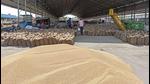 According to the administration, more than 1.17 metric tonnes of wheat was procured by the agencies till Tuesday. (HT Photo) According to the administration, more than 1.17 metric tonnes of wheat was procured by the agencies till Tuesday. (HT Photo)