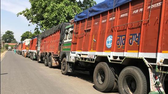 Traders buy wheat stock from Uttar Pradesh, Madhya Pradesh and Rajasthan. (HT file) Traders buy wheat stock from Uttar Pradesh, Madhya Pradesh and Rajasthan. (HT file)