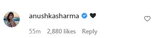 Anushka Sharma's reply on Hardik Pandya's Instagram post. (Instagram/@hardikpandya93)