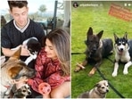 Priyanka Chopra with Nick Jonas and their pets.