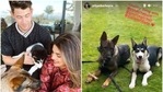 Priyanka Chopra with Nick Jonas and their pets. Priyanka Chopra with Nick Jonas and their pets.