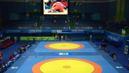 File photo of wrestling. (File)