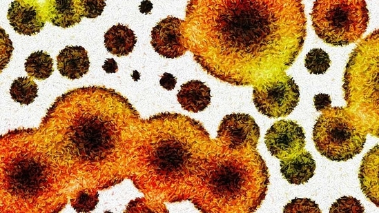 Antibiotic resistance happens when bugs become immune to existing drugs, like antibiotics, antivirals or antifungals, rendering minor injuries and common infections potentially deadly.(Shutterstock/HT Archive) Antibiotic resistance happens when bugs become immune to existing drugs, like antibiotics, antivirals or antifungals, rendering minor injuries and common infections potentially deadly.(Shutterstock/HT Archive)