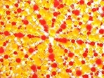 Like magnets, ferroelectric materials show spontaneous polarisation the separation of positive and negative charges which can be reversed or switched using an electric field. (Representational Image) (Unsplash) Like magnets, ferroelectric materials show spontaneous polarisation the separation of positive and negative charges which can be reversed or switched using an electric field. (Representational Image) (Unsplash)
