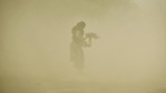 Representational: A dust storm blows through the Rajpath lawns near India Gate. (HT Photo) Representational: A dust storm blows through the Rajpath lawns near India Gate. (HT Photo)