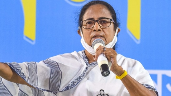 Referring to her injury, Mamata Banerjee said the BJP wanted to stop her from canvassing by "targeting her leg", but she has managed to come out triumphant. (PTI)
