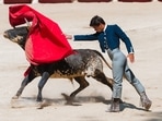 Almost all of Spain's bullrings, or plazas, have remained closed for the last year due to lockdown restrictions - plunging the controversial spectacle and its matadors into financial crisis.