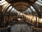 The exhibition, which comes as Britain prepares to host a major U.N. climate summit in November, lists Shell as one of its main sponsors - drawing the ire of green activists. The exhibition, which comes as Britain prepares to host a major U.N. climate summit in November, lists Shell as one of its main sponsors - drawing the ire of green activists.