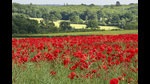 Murder lurks in the idyllic English countryside (Shutterstock) Murder lurks in the idyllic English countryside (Shutterstock)