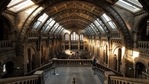 The exhibition, which comes as Britain prepares to host a major U.N. climate summit in November, lists Shell as one of its main sponsors - drawing the ire of green activists.(Pixabay) The exhibition, which comes as Britain prepares to host a major U.N. climate summit in November, lists Shell as one of its main sponsors - drawing the ire of green activists.(Pixabay)