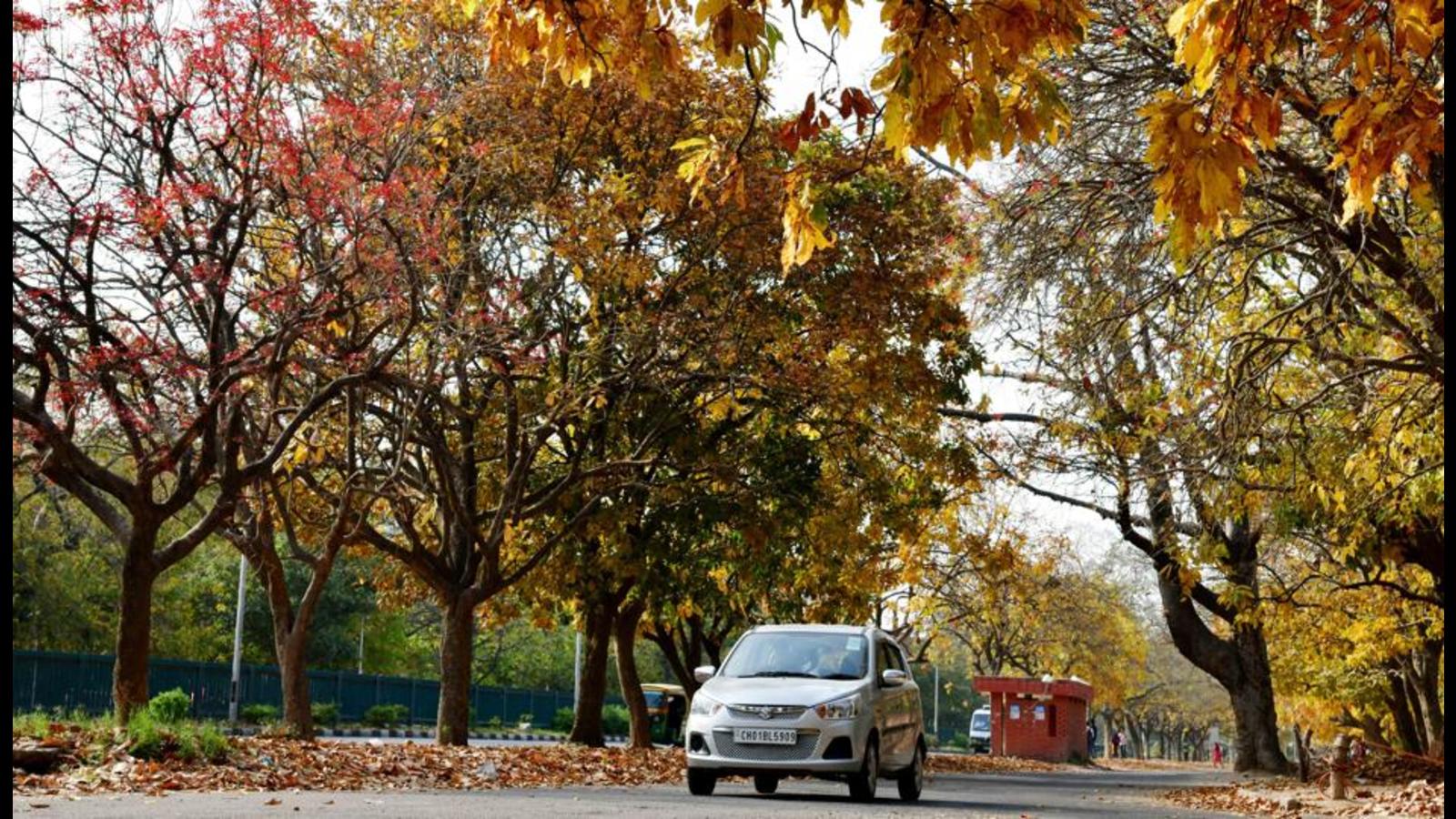 chandigarh in spring season 