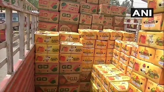 The image shows boxes filled with mangoes.(Twitter/@ANI) The image shows boxes filled with mangoes.(Twitter/@ANI)