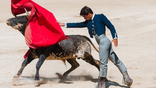 Madrid to host charity bullfight for matadors left jobless by Covid-19