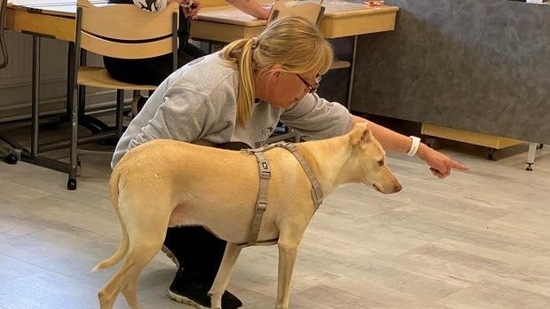 Trainer Susanna Paavilainen directs sniffer dog Kossi in Helsinki Airport in Vantaa, Finland. (REUTERS)