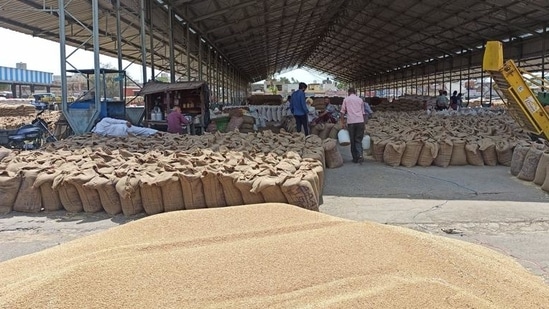 Over 25 lakh matric tonne of wheat procured in Punjab during ongoing Rabi season (HT Photo)